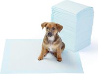 Amazon.com : AmazonBasics Dog and Puppy Potty Training Pads, Regular (22 x 22 Inches) - Pack of 100 : Pet Supplies