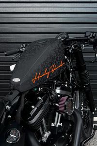 Harley-Davidson 48 Sportster 2020 by Limitless Customs