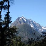 NZ Special: 6 Must Do Experiences in New Zealand
