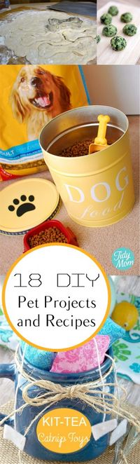 18 DIY Pet Projects and Recipes. DIY, DIY home projects, home décor, home, dream home, DIY kitchen, DIY kitchen projects, weekend DIY projects.