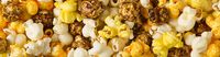 Best DC Food Trucks | Washington DC Food Truck | Popped! Republic