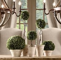 Restoration Hardware Topiaries - how to make your own