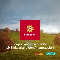 Cosa sarebbe l’autunno senza i suoi coloratissimi boschi e vigneti? Se anche tu vai a caccia di foglie d’autunno multicolori, fai swipe per visualizzare le zone e i periodi di massimo splendore dei boschi svizzeri. Abbiamo alcuni spunti per gite e interessanti informazioni sulle foglie dell’autunno dorato. Tuffati in un mare di colori! #IneedSwitzerland