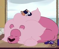 Pig Vertebrate pink cartoon pig mammal nose pig like mammal vertebrate