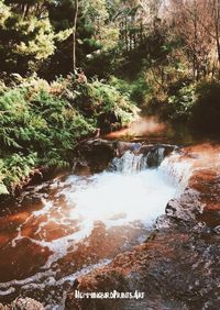 Kerosene Creek | New Zealand Print | Digital Download Poster Art by HummingbirdPrintsArt on Etsy