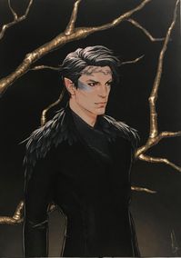 BLACK FEATHERS ON A BLACK SATIN DRESSING GOWN / ROBE / KIMONO / KAFTAN / Prince Cardan. The Cruel Prince by Holly Black.