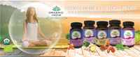 VANTAGENS DOS SUPLEMENTOS ORGANIC INDIA™ ✔Os nossos suplementos são embalados em frascos de vidro. ✔Encapsulamos as plantas em cápsulas de celulose vegetal. ✔Utilizamos toda a planta e não apenas o princípio activo, do que resulta um produto mais eficaz e equilibrado.