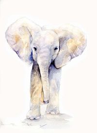 The David Sheldrick Wildlife Trust - Art Store - love all the paintings of the baby elephants.