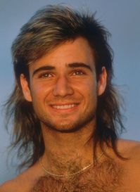 Agassi: I inspired you to take on new challenges.