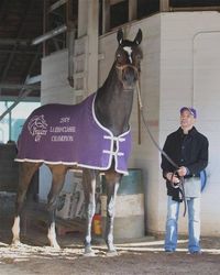 Zenyatta - she looks ginormous in this picture, what a fantastic mare!
