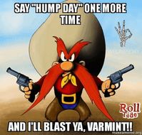 Yosemite Sam: Say "Hump Day" one more time and I'll blast ya, Varmint! OK...Wednesday. Roll Tide via GIPHY