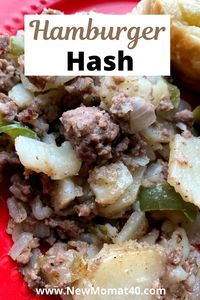 Hamburger Hash is an easy dinner recipe my mother used to make. It's a simple and basic recipe. Easy to make, with basic ingredients you will likely have in your refrigerator and pantry. One of my favorite things to share with you is easy and budget-friendly recipes! #easyrecipe #groundbeef #hamburger #hamburgerhash #dinner #recipe #beef #hash #skillet #meal #potatoes #budgetfriendly