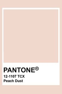 Pantone Peach Dust #pantone #color