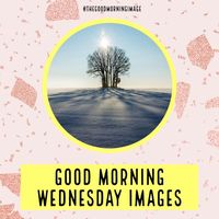 Hi, folks, are you looking for some HD beautiful Good Morning Wednesday Images? If right then you are also in the correct position as here, we have inserted more than 70+ Images with quotes you can use on Wednesday morning to wish your friends on Facebook, WhatsApp, and others. So let’s see.