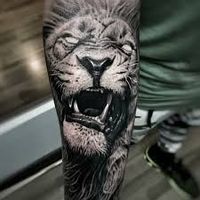 Tatuajes de Leones 🦁 2021 para Hombres y Mujeres
