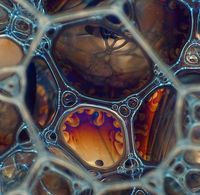 Soap foam macro