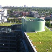 Ginkgo Sustainability offers Green Roof Installation and Maintenance in Southern Ontario. Ideal for commercial, industrial, and residential clients, we have been demonstrating green roof systems and offering installation and maintenance services in Canada since 2010. Visit our website for more information today. #sustainableliving #environment #environmentaldesign #sustainable #sustainablecitites #biophilia #biophilicdesign #wellness #wellbeing #greendesign #greenliving #greenroofs