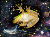 "It Came From Outer Space" by WildestArt | Redbubble