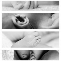 Photo de naissance : un collage de photos horizontales