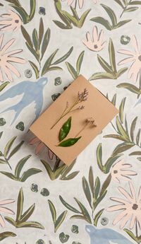 Season Paper X My Little Box