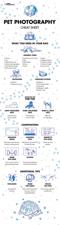 22 Best Photography Cheat Sheets & Infographics in 2020