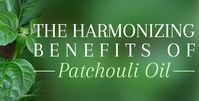 Patchouli Oil - Uses and Benefits of Patchouli Essential Oil