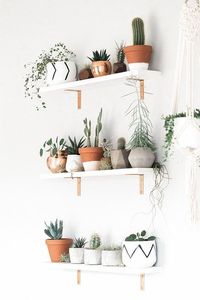 Geometric Air Plant / Succulent Pots Set of 3 Concrete