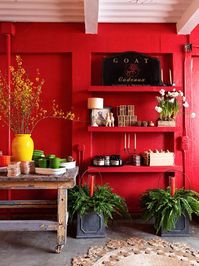 Du rouge chez nous ! - TRAITS D'CO Magazine