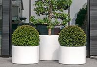 Die beliebten Pflanzgefässe von Pottery Pots zeichnen sich durch ihr modernes und zeitloses Design aus. Dank unterschiedlichsten Materialien und einer grossen Formenvielfalt bieten sie dir unbegrenzte Möglichkeiten. Die Gefässlinien eignen sich bestens für drinnen und draussen. Praktische Grössen sorgen für individuelle Gestaltungen, und dies zu einem einzigartigen Preis-Leistungs-Verhältnis.