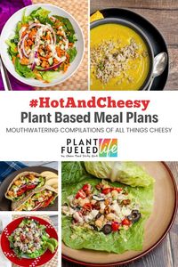 If you're looking for a mouthwatering compilation of all things cheesy with an optional kick provided by your favorite hot sauce—you found it! Our Gourmet version is a fan favorite! 🤩 I may have to do Hot and Cheesy again next week. The heart wants what the heart wants. - Plant Fueled Life Member Our Simple plan is gluten-free and perfect for those plant based peeps who want to get in and out of the kitchen fast. Don't drop it like it's hot. Come learn how to cook all the plants.