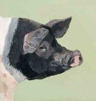 Homegrown hogs can help you make compost and plow new ground — plus, your pastured pork will be some of the best you've ever tasted.