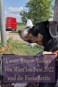 Ein später Rückblick auf nervige Monate beim Womo-Ausbau. Aber stimmt das Gefühl für die Monate? Haben wir wirklich am Transporter nichts geschafft? Was von April bis Juni passierte, erfährst du nun.