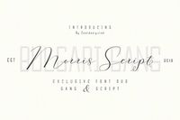 Morris Script | Font Duo by cooldesignlab