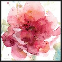 Bold Blush I