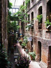 Pinterest: @sleeplessmindd … More