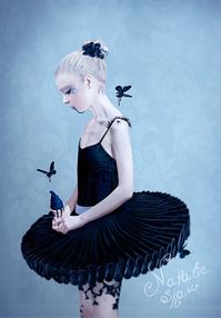 2006-2008 illustration - Natalie Shau