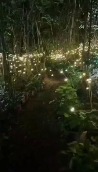 💐💐💐I bought for my mom and sister! 💁♀They are not only beautiful,It is also a great creator of romantic atmosphere. 👉https://www.uhomedeco.com/products/%F0%9F%94%A5summer-sale%F0%9F%94%A5solar-powered-firefly-light?spm=..collection_49da6bd6-f7f7-493a-93e4-664a503d766c.collection_detail_1.1&spm_prev=..product_bc2e7b50-78bd-4dd0-ba04-5fe260eb865e.header_1.1&variant=8d1d0368-c1bd-4487-a285-f53a765051a8