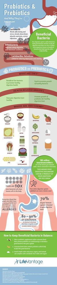 prebiotics and probiotics infographic