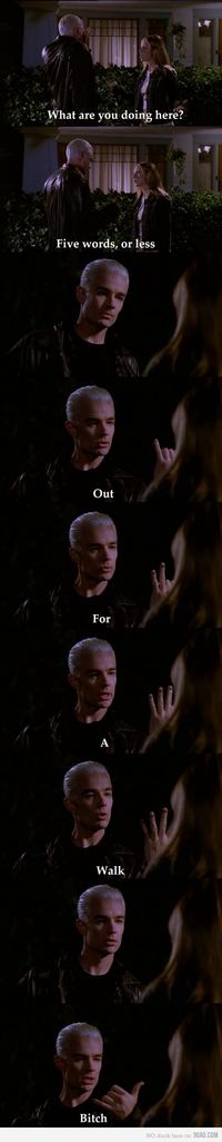 Five words or less. (Apparently, when this episode originally aired in Australia, they omitted the word "bitch" so the Aussies didn't get the joke... Thank goodness for the internet!)