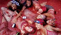 In what town in Spain does the Tomatina Tomato Fight take place? And more importantly, have you been!? #trivia #travel #spain