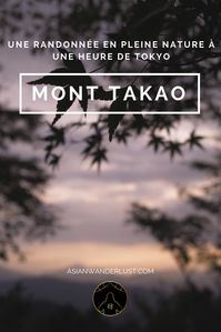 Mont Takao Tokyo Japon - Une randonnée en pleine nature à une heure de Tokyo! #Mont #Takao #TakaoSan #Tokyo #Japon #Randonnée #Voyage #Blog #Asie #AsianWanderlust