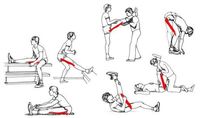 Los isquiotibiales son un grupo muscular formado por el bicep femoral, el semitendinoso y el semimembranoso que son vitales para tener una zancada fuerte. En cada zancada que damos al…
