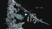 These stunning structures are the result of a chemical reaction where the metal is deposited from the solution onto the metal surface. It takes from a few hours…