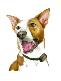 Arte cane personalizzato acquerello regalo di ricordo del | Etsy