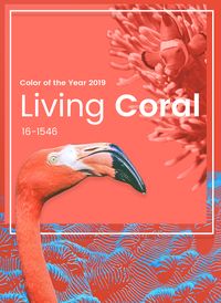 ‘Living Coral’ is Pantone Color of The Year 2019: Pantone has announced the trendiest color of 2019, and it’s an explosion of emotions! The color of the year 2019 Living Coral is an energetic combination of orange and pink with a golden undertone.