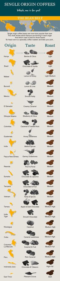 Coffee Infographic: Comparing Your Single Origin Beans