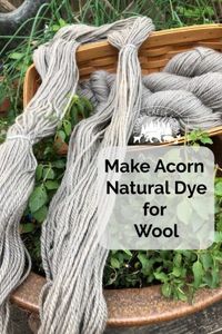Acorn Natural Dye for Wool - Fall Dye Projects - Timber Creek Farm