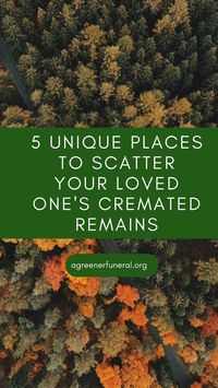 One of the best ways to express gratitude to loved ones is through a proper disposition, whether that is through descending into the water, releasing them back into the earth, or returning to your beloved's favorite place. This honors our loved ones and helps us celebrate their significant existence in our lives.