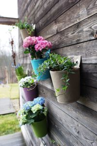 Egal ob Büro, Wohnzimmer, Sitzplatz oder Balkon, die einzigartigen Produkte von Blooming Walls sind wertvolle Accessoires in Spitzenqualität.
