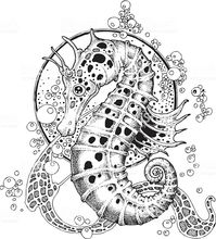 Sea horse royalty-free sea horse stock illustration - download image now